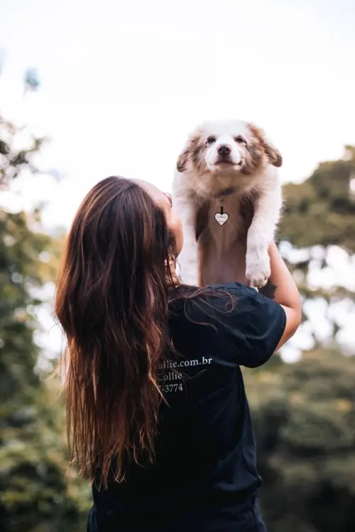 Nossos Cães