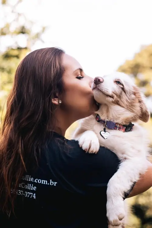 Nossos Cães
