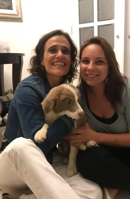 Nossos Cães