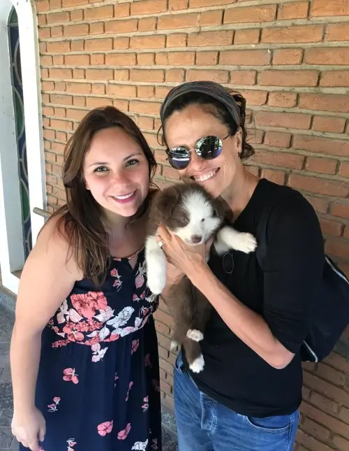 Nossos Cães