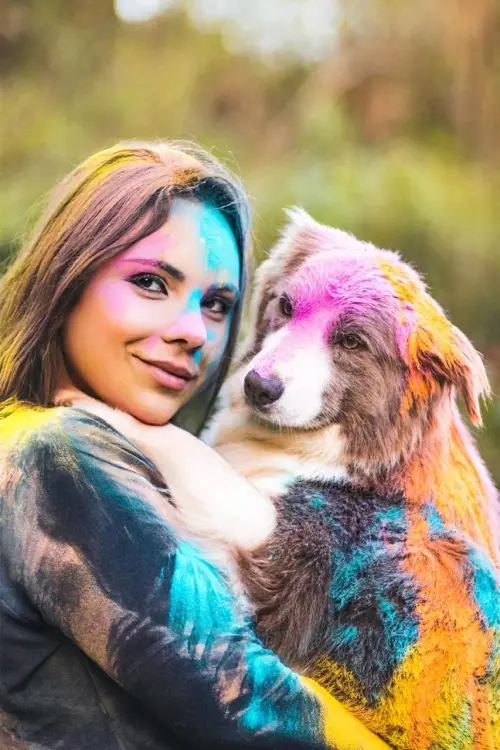 Nossos Cães