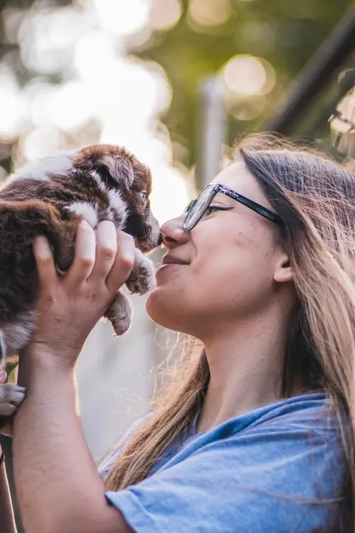 Nossos Cães
