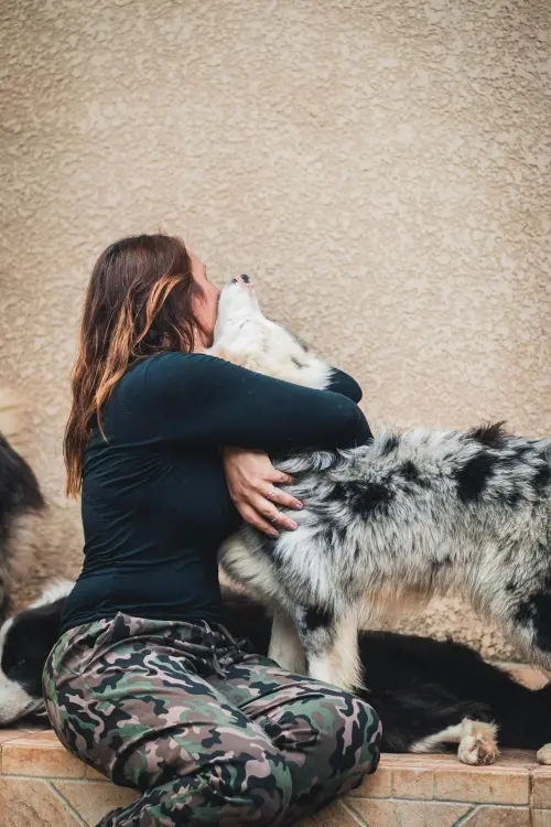 Nossos Cães