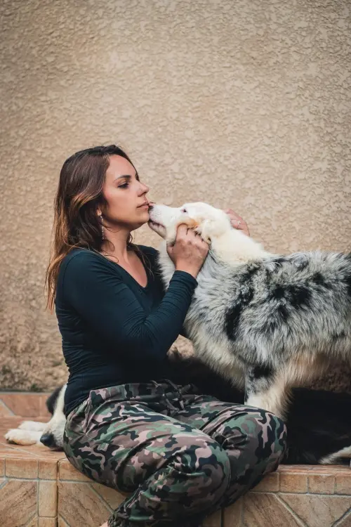 Nossos Cães
