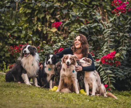 Nossos Cães