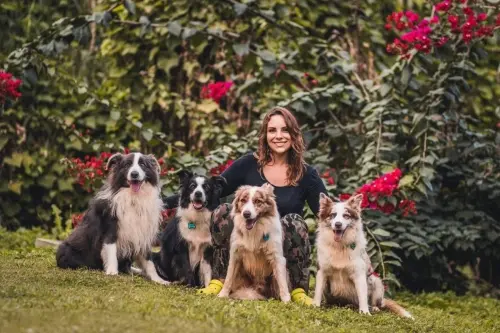 Nossos Cães