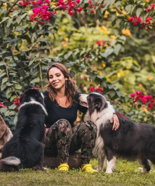 Nossos Cães