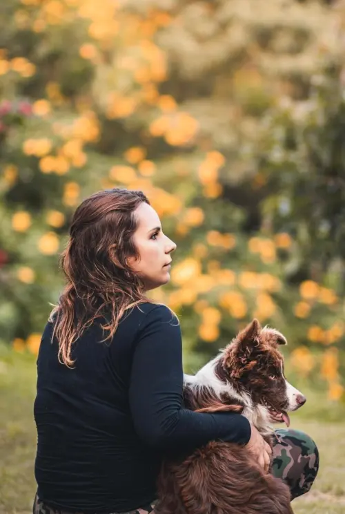 Nossos Cães