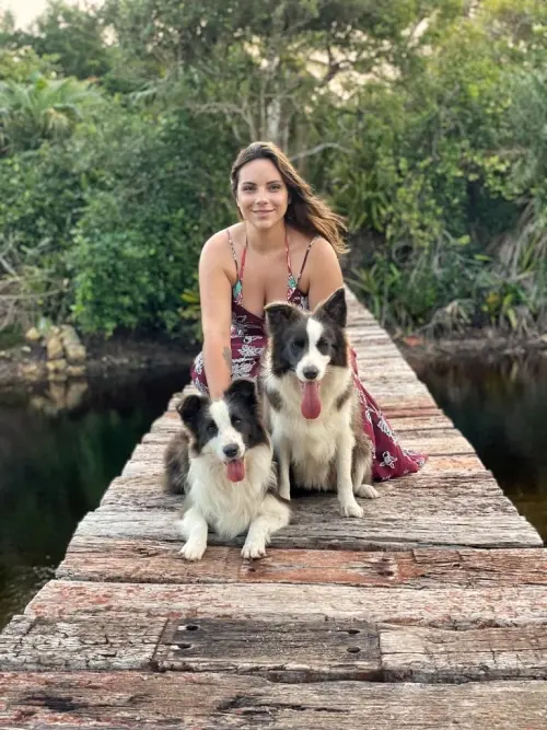 Nossos Cães